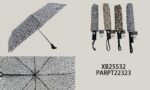PARAGUA XB25532