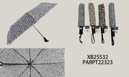 PARAGUA XB25532